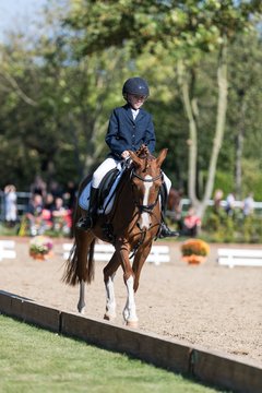 Bild 130 - Fuchshof Turnier